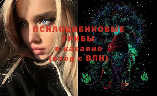 Альфа ПВП Рославль