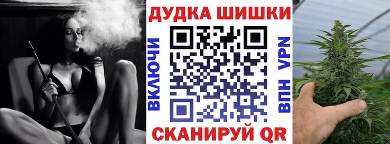 Конопля планчик Шагонар